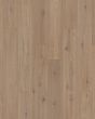 Pergo Elements Freywood Springs Cabin Hickory 8" Laminate