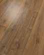 Ellenwood Nature Walk Oak Oak 7"x54" Luxury Vinyl