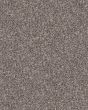 Refined Chic Alaskan Air Textured Carpet
