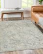 Regal RG4 Sky Area Rug
