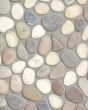 River Pebbles Light Blend Natural Stone Tile