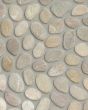 River Pebbles Taupe Blend Natural Stone Tile