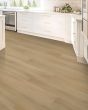 Eastbrook Shoals SolidTech Plus Hampton Luxury Vinyl
