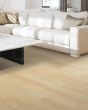 Saltgrass Springs SolidTech Premier Seabrook Luxury Vinyl