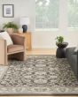 Serenity Home SRH02 Ivory Grey Blue Area Rug