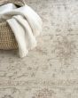 Shadows SHW07 Ivory Area Rug