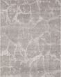 Silk Shadows SHA02 Silver Area Rug