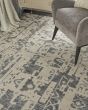 Silk Shadows SHA19 Ivory Grey Area Rug