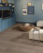 Oak Crest Northwood Gray 7"x50" Laminate