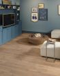 Oak Crest Pittsfield Greige 7"x50" Laminate