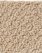 Smart Thinking Textured Loop Nylon Carpet