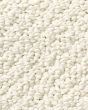 Smart Thinking Textured Loop Nylon Carpet