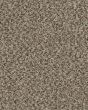 Soft Touch Berber