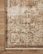 Sorrento SOR-03 Mocha/Multi Area Rug