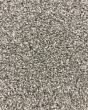 Tonal 40 Classic Silver 38oz Carpet