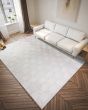 Durango SS1 Linen Area Rug