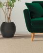 Stylish Ease Patterned EverStrand Carpet