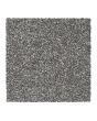 Stylish Grace Textured 55oz SmartStrand Carpet