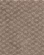 Subtle Allure Bungalow Carpet