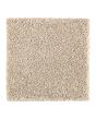 Subtle Tones Textured SmartStrand 57oz Carpet