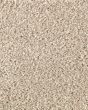 Subtle Tones Textured SmartStrand 57oz Carpet