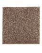 Subtle Tones Textured SmartStrand 57oz Carpet