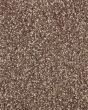 Subtle Tones Textured SmartStrand 57oz Carpet