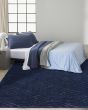 Surfaces SFC01 Navy Area Rug