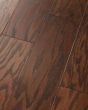 Timeless Red Oak 5" Hazelnut Hardwood