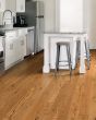 Lineage Red Oak 5" Honey Hardwood