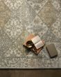 Tamryn TAM-01 Beige/Multi Area Rug