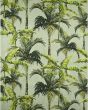 Tropics TC10 Aloe Area Rug