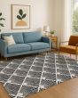 The Reserve TR9 Black Area Rug