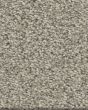 Tonal Comfort I Textured 43oz Nylon Carpet