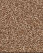 Tonal Comfort II Textured 53oz Nylon Carpet