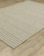 Tortuga tr02a Beige/Black Area Rug