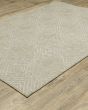 Tortuga tr05a Beige/Beige Area Rug