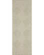 Tortuga tr05a Beige/Beige Area Rug
