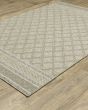 Tortuga tr10a Beige/Black Area Rug