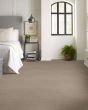 Trendy Fossil Path Carpet