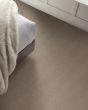 Trendy Fossil Path Carpet