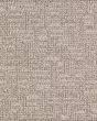 Urban Splendor Silver Lining Carpet