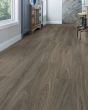 Anvil Plus 20 Mil Dark Elm Luxury Vinyl
