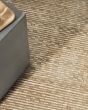 Valley VLL01 Gold Area Rug