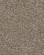 Value 42 Sandy Shore Textured Everstrand 42oz Carpet
