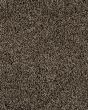 Value 60 Spice Brown Textured Everstrand 57oz Carpet