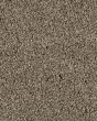 Value 60 Tuscan Tan Textured Everstrand 57oz Carpet