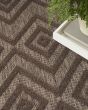 Versatile NRV01 Brown Area Rug