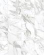 Vienna Arabescato Marble Porcelain Tile