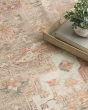 Vintage Washables VWS07 Coral Taupe Area Rug